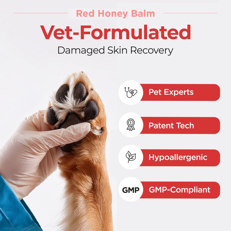 JAYU PET Red Honey Balm - Long Lasting Dog Cat Skin Nose Paw Wax Balm, Anti Slip & Help Reduce Licking, Dry Cracked Chapped Pad Soothing Butter, Pet Hotspots Itchy Allergy Relief Moisturizer 0.5 oz. - Image 4